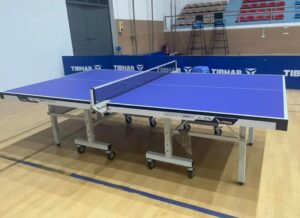 Có bao nhiêu loại bàn bóng bàn